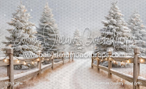 Christmas Country Road (VR)