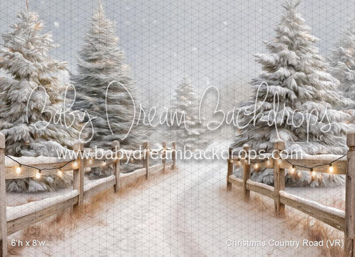 Christmas Country Road (VR)