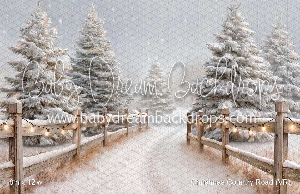 Christmas Country Road (VR)