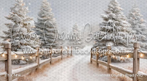 Christmas Country Road (VR)