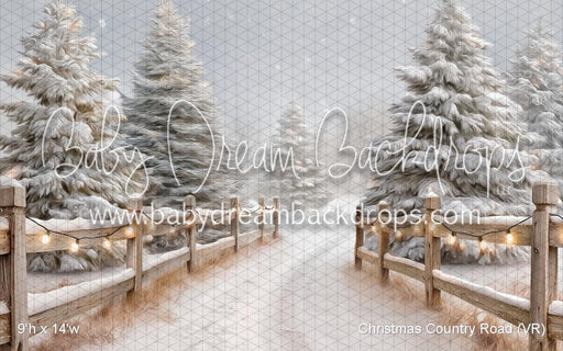 Christmas Country Road (VR)