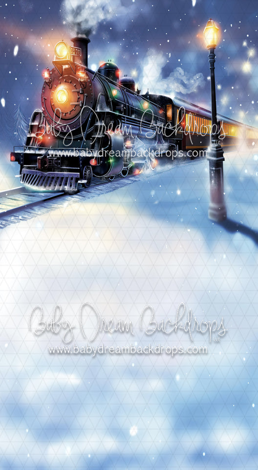 Christmas Express Train Sweep (MD)