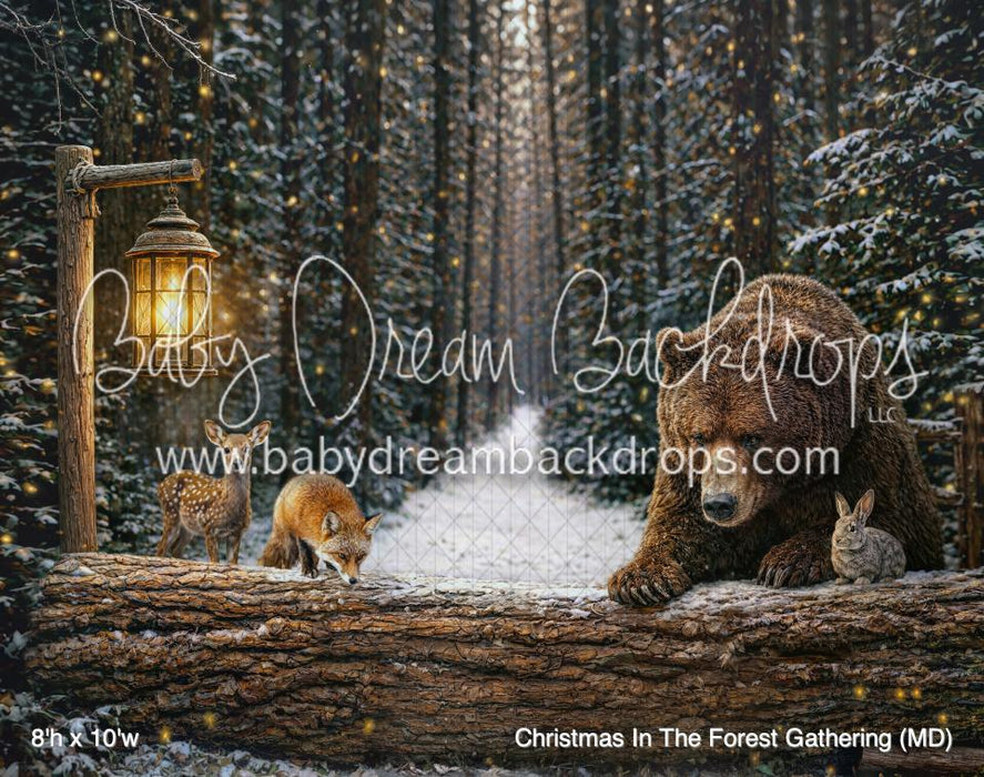 Christmas In The Forest Gathering (MD)