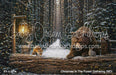 Christmas In The Forest Gathering (MD)