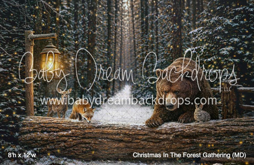 Christmas In The Forest Gathering (MD)