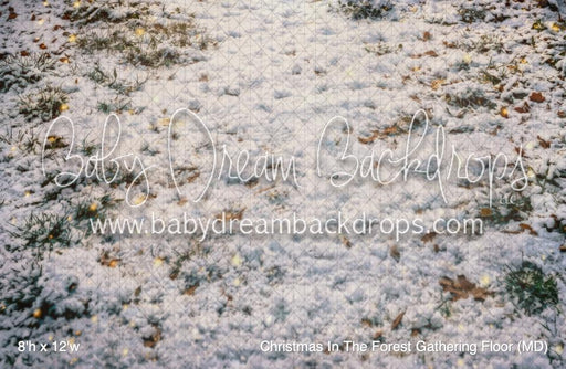 Christmas In The Forest Gathering Fabric Floor (MD)
