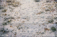 Christmas In The Forest Gathering Floor (MD)