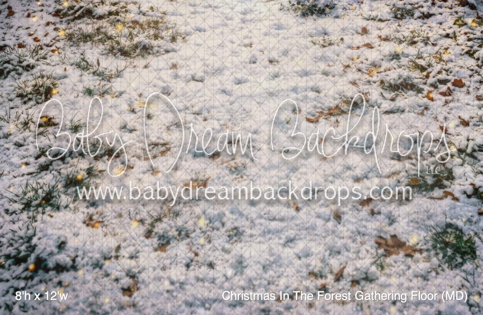 Christmas In The Forest Gathering Floor (MD)
