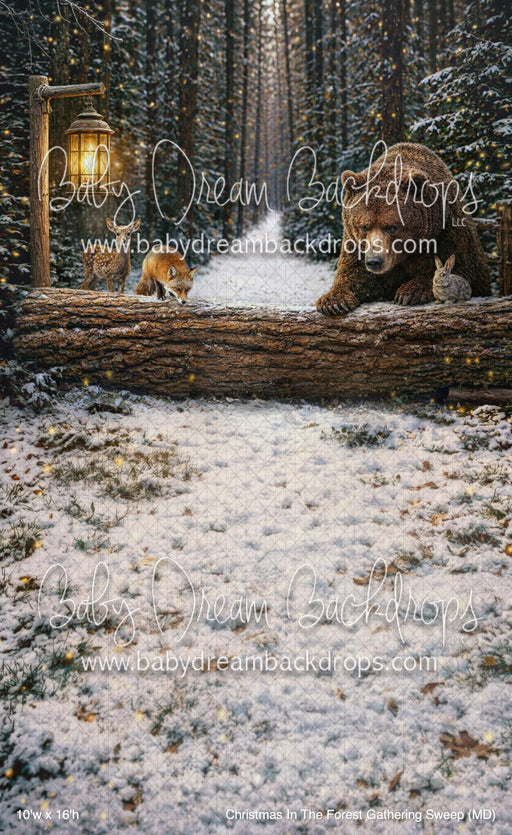 Christmas In The Forest Gathering Sweep (MD)