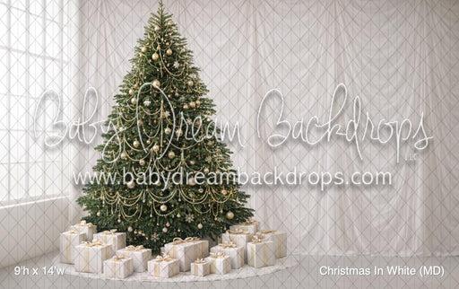 Christmas In White (MD)