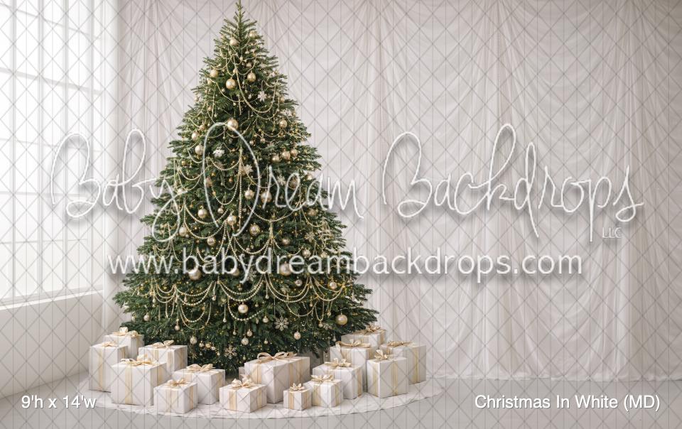 Christmas In White (MD)