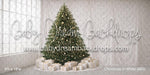 Christmas In White (MD)