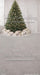 Christmas In White Sweep (MD)