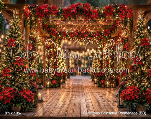 Christmas Poinsettia Promenade (BD)