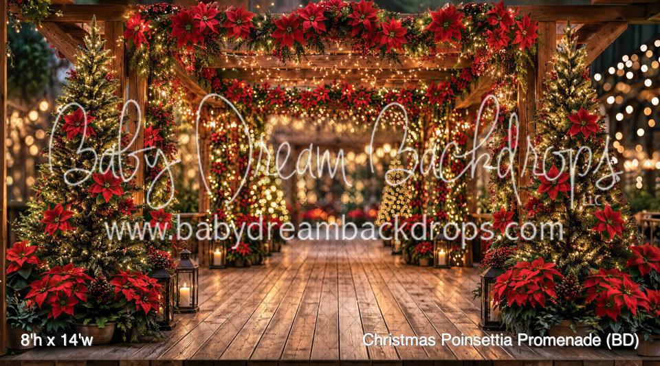 Christmas Poinsettia Promenade (BD)