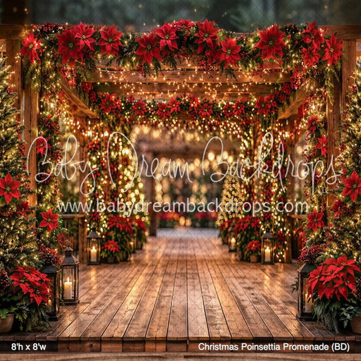 Christmas Poinsettia Promenade (BD)