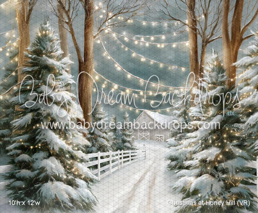 Christmas at Honey Hill (VR)