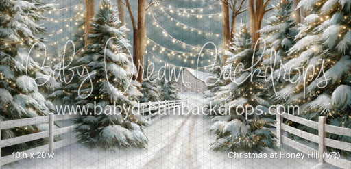 Christmas at Honey Hill (VR)