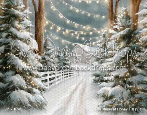 Christmas at Honey Hill (VR)