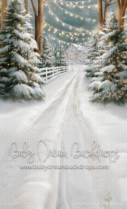 Christmas at Honey Hill Sweep (VR)