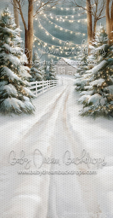 Christmas at Honey Hill Sweep (VR)