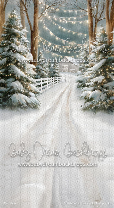 Christmas at Honey Hill Sweep (VR)