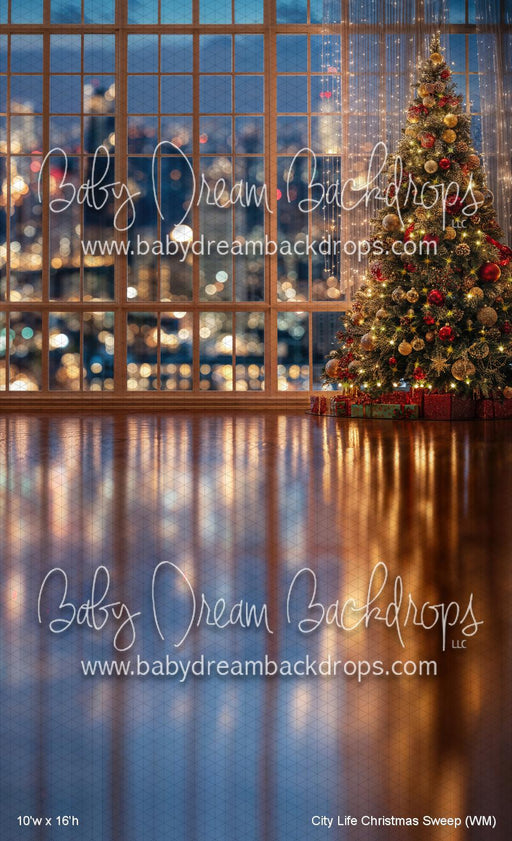 City Life Christmas Sweep (WM)