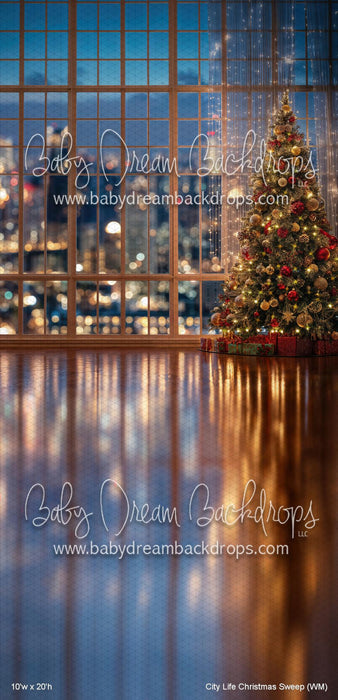 City Life Christmas Sweep (WM)