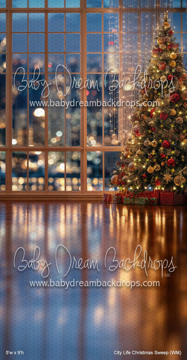 City Life Christmas Sweep (WM)