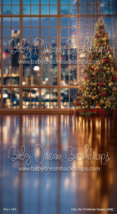 City Life Christmas Sweep (WM)