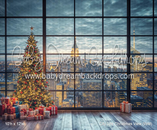 City Life Christmas View (WM)