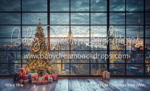 City Life Christmas View (WM)