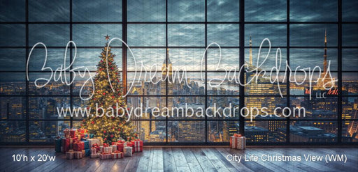 City Life Christmas View (WM)