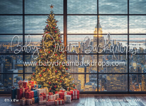 City Life Christmas View (WM)