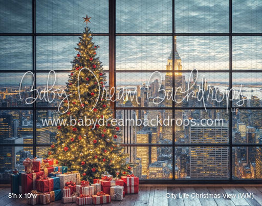 City Life Christmas View (WM)