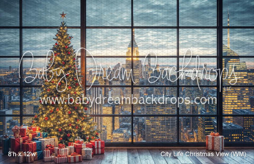 City Life Christmas View (WM)