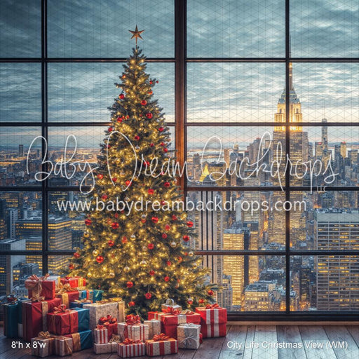 City Life Christmas View (WM)