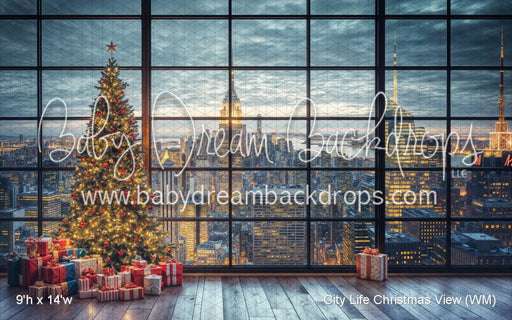 City Life Christmas View (WM)