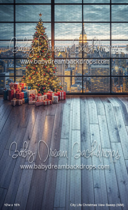 City Life Christmas View Sweep (WM)