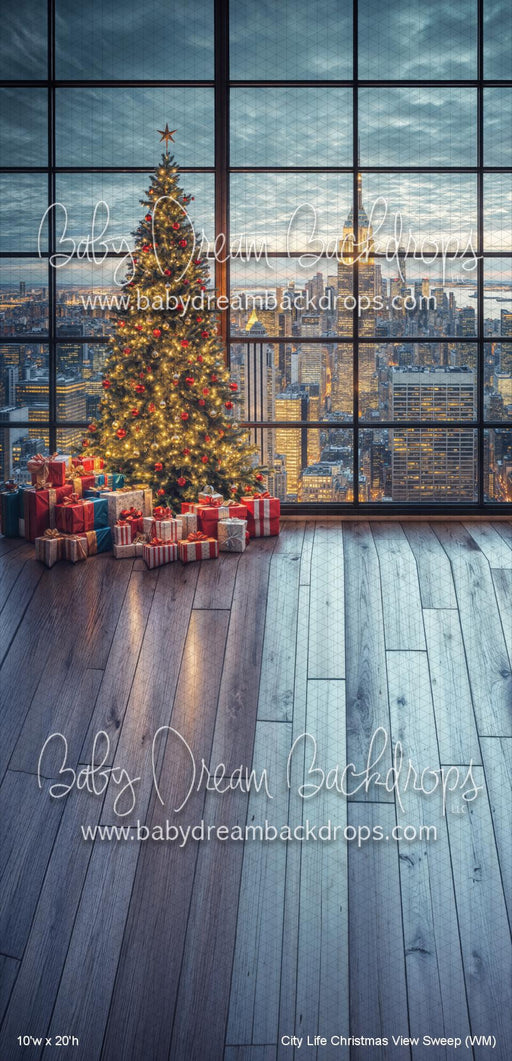 City Life Christmas View Sweep (WM)