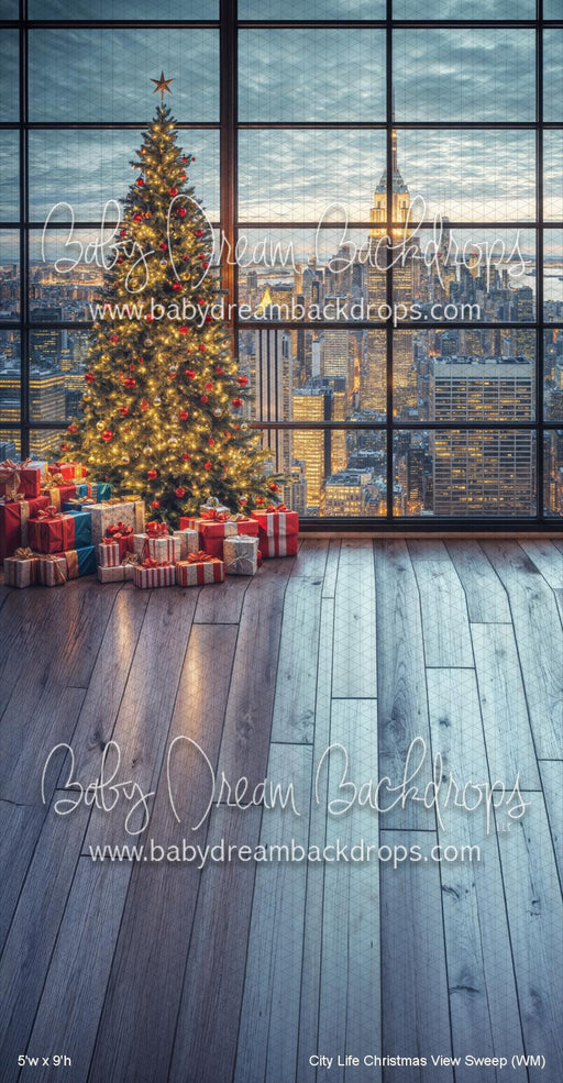 City Life Christmas View Sweep (WM)