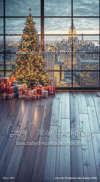 City Life Christmas View Sweep (WM)