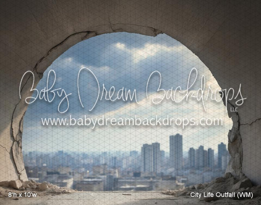 City Life Outfall (WM)