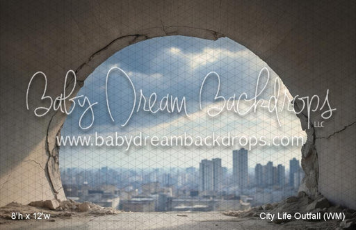 City Life Outfall (WM)