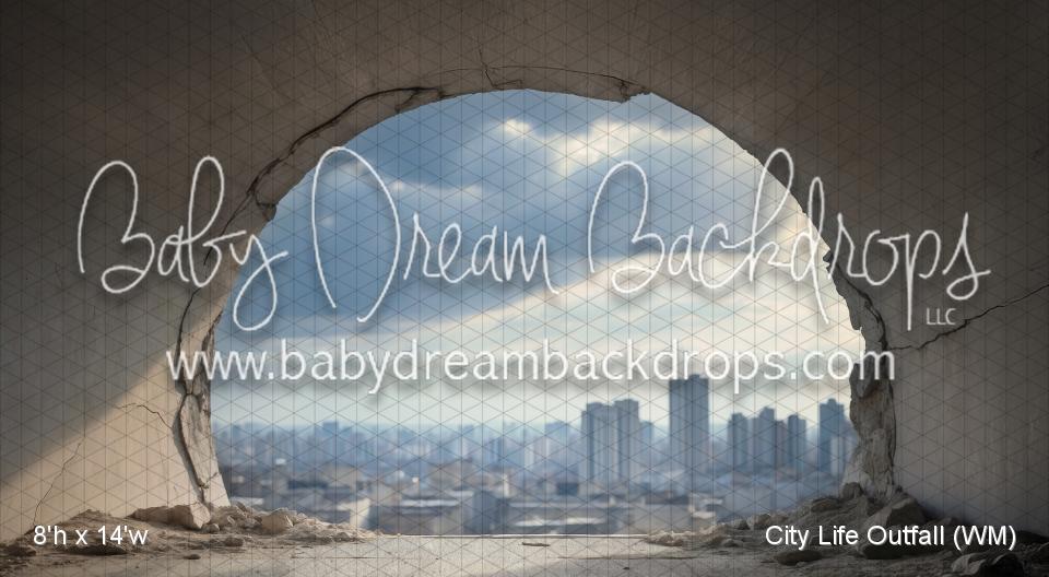 City Life Outfall (WM)