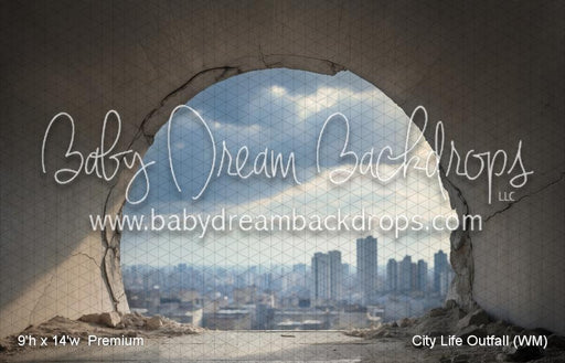 City Life Outfall (WM)