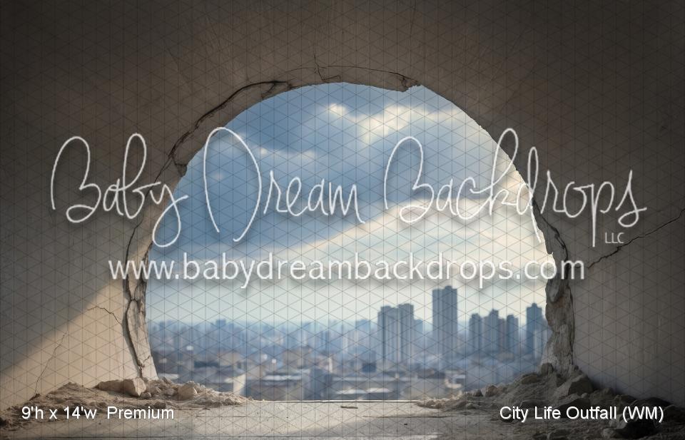 City Life Outfall (WM)