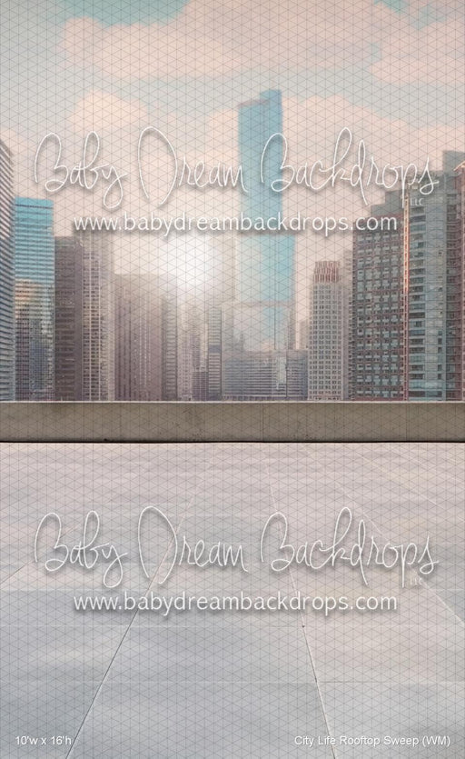 City Life Rooftop Sweep (WM)