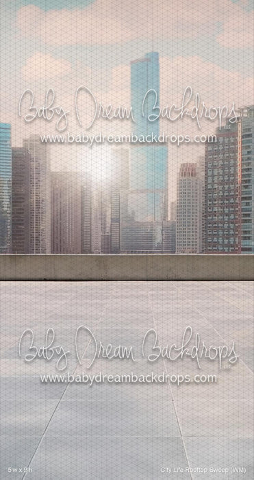 City Life Rooftop Sweep (WM)