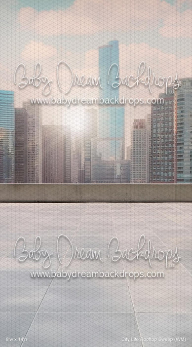 City Life Rooftop Sweep (WM)